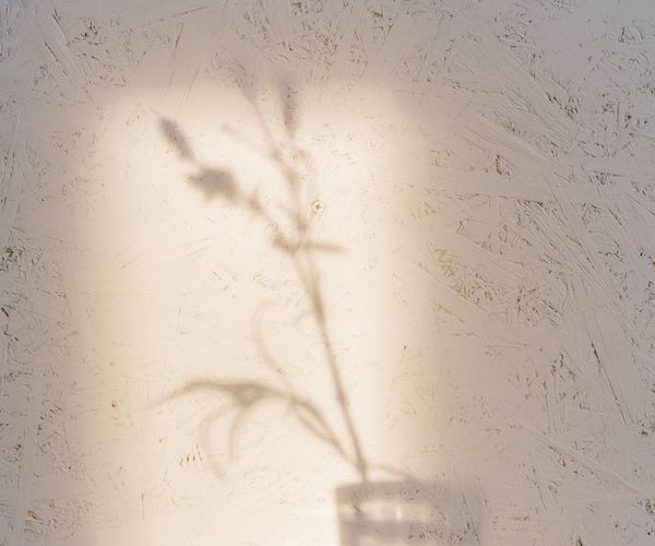 Person meditating peacefully in a room with soft light.